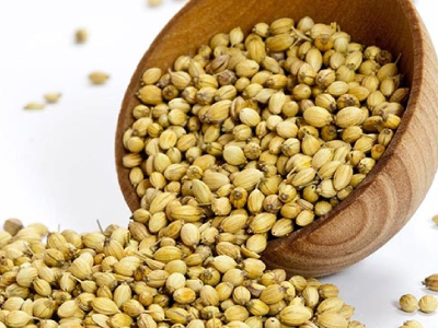 Premium Coriander